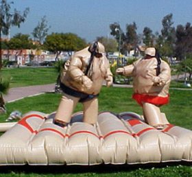 T11-125 Boks sumo takımı