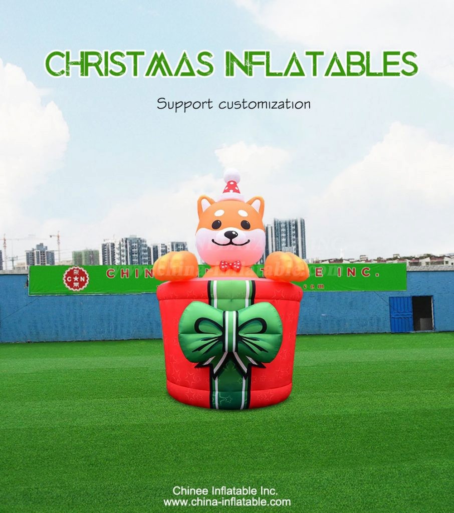 C1-251-1 - Chinee Inflatable Inc.