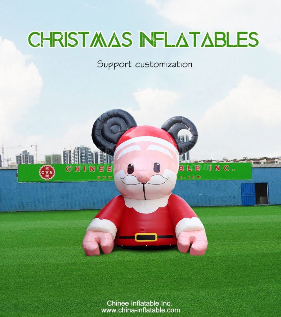 C1-269-1 - Chinee Inflatable Inc.