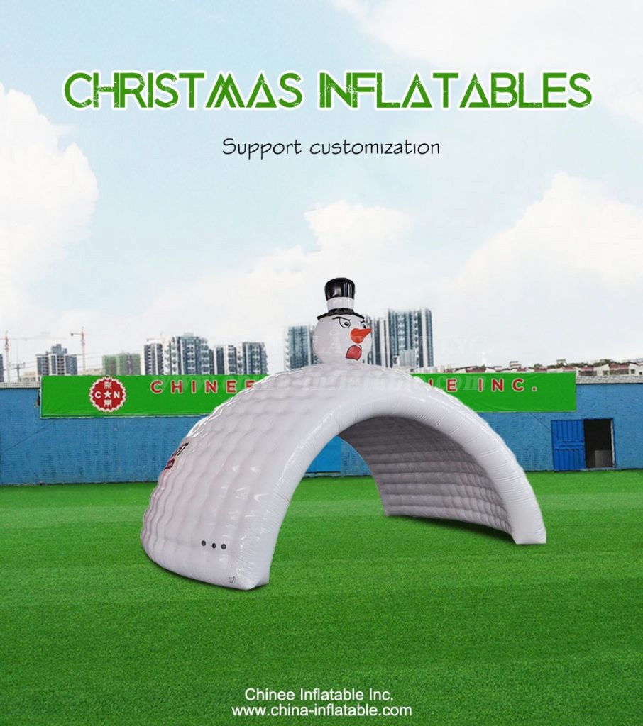 C1-311-1 - Chinee Inflatable Inc.
