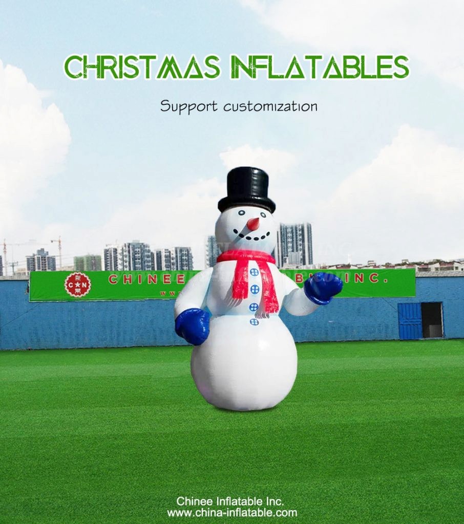C1-316-1 - Chinee Inflatable Inc.