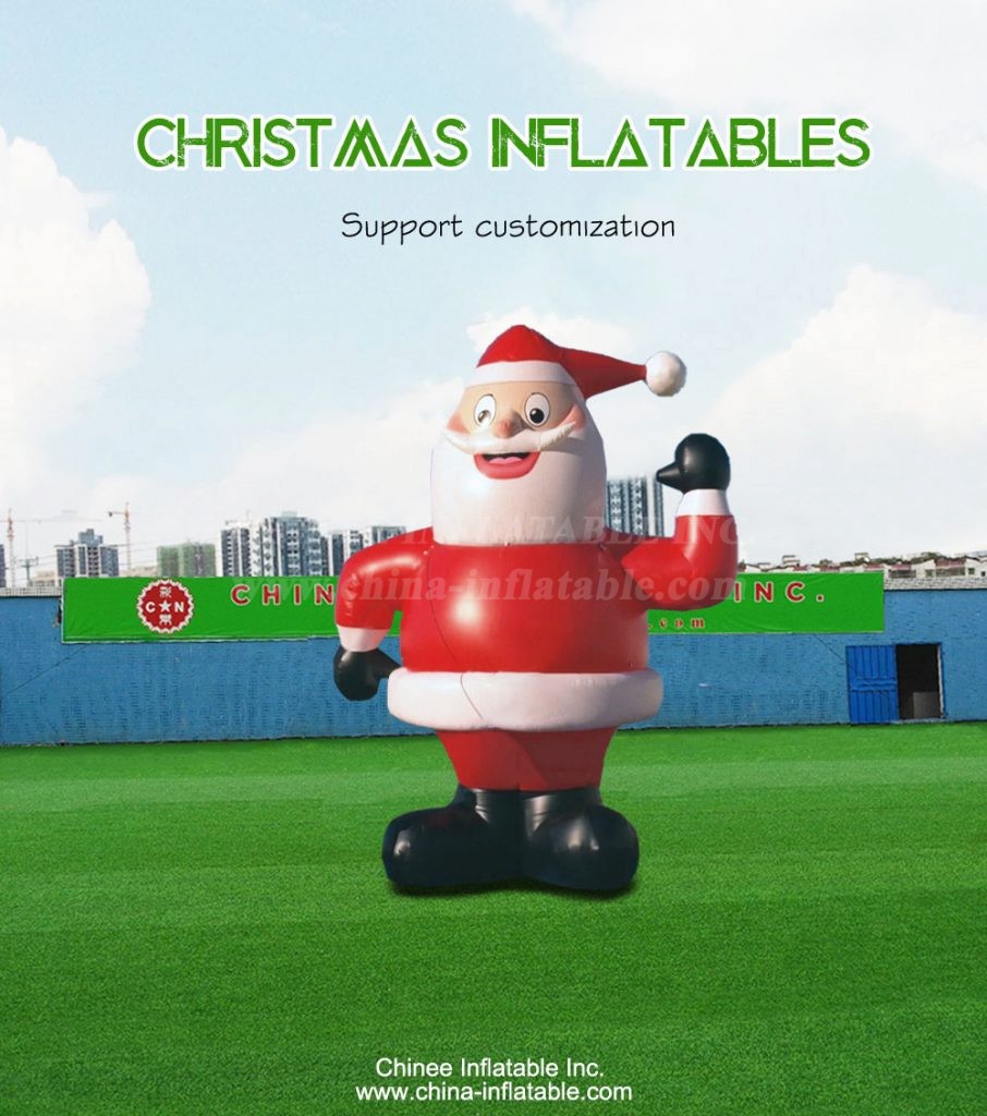C1-317-1 - Chinee Inflatable Inc.