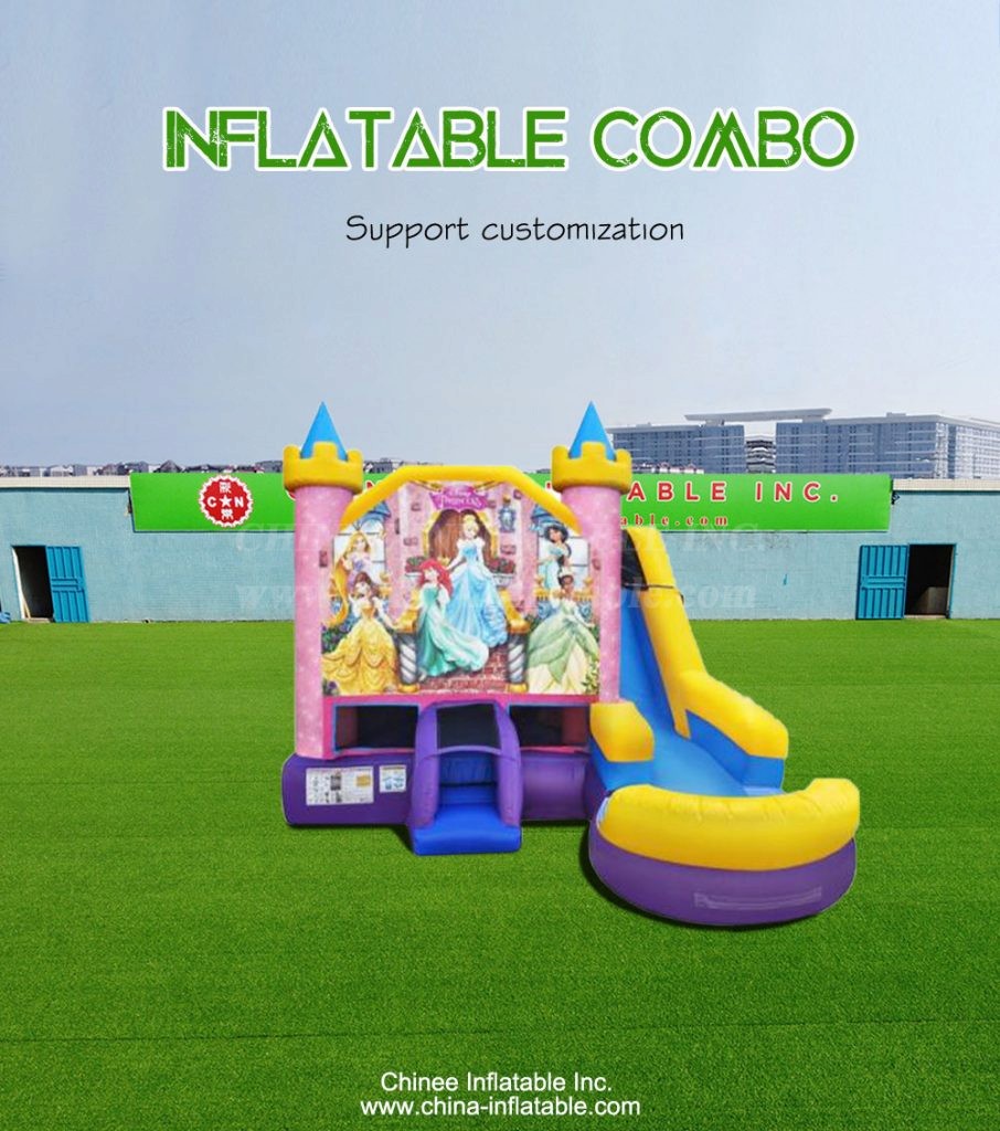 T2-4311-1 - Chinee Inflatable Inc.