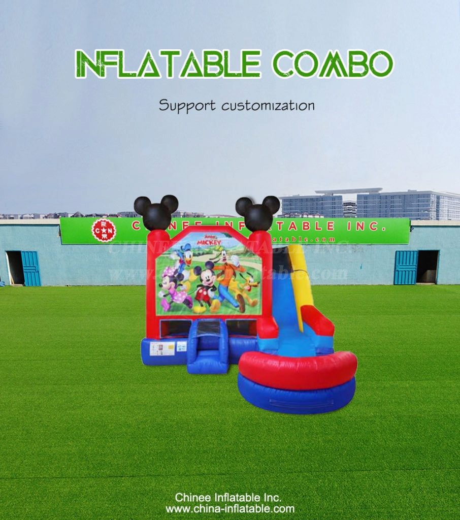 T2-4314-1 - Chinee Inflatable Inc.
