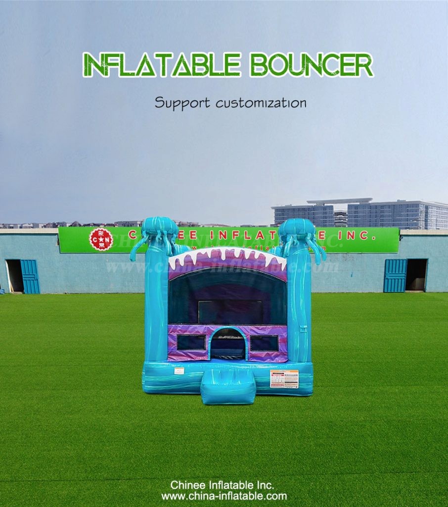 T2-4342-1 - Chinee Inflatable Inc.