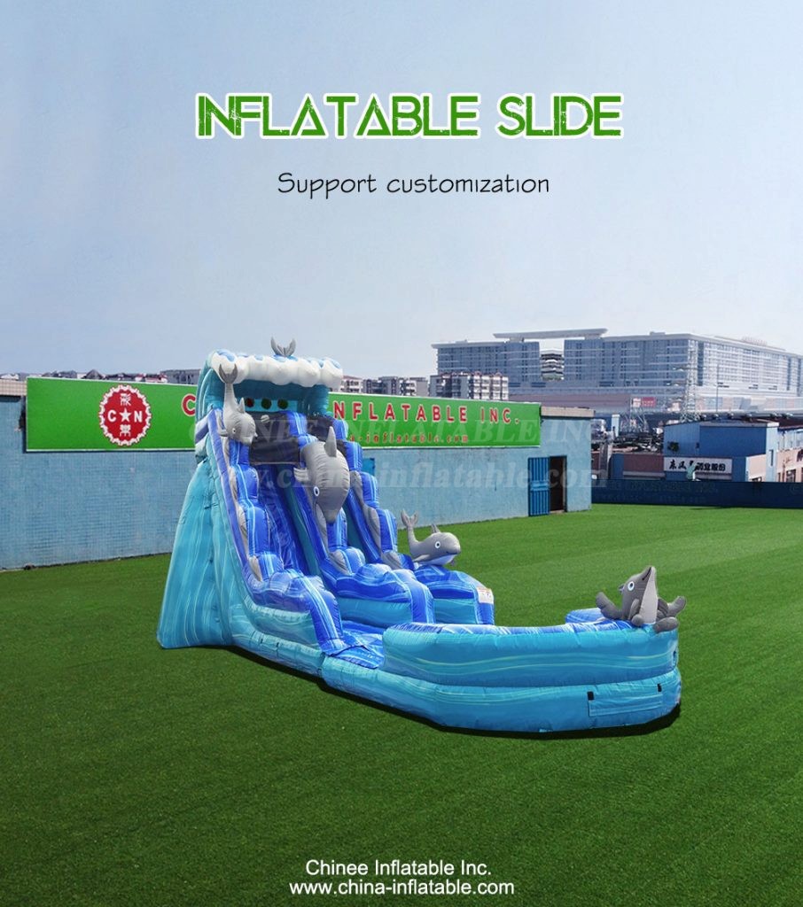 T8-4128-1 - Chinee Inflatable Inc.